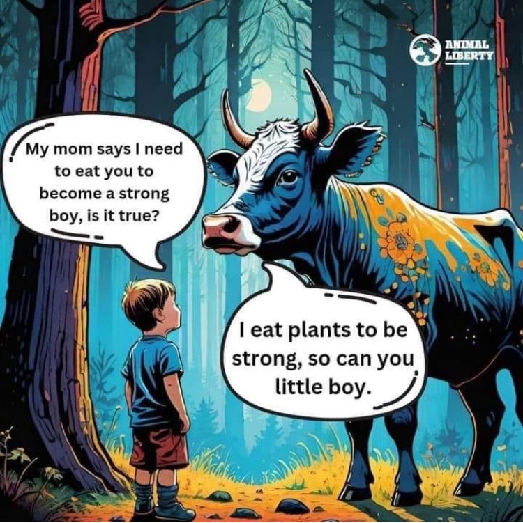 Mick Walker (@vegancyclistuk) on Twitter photo 