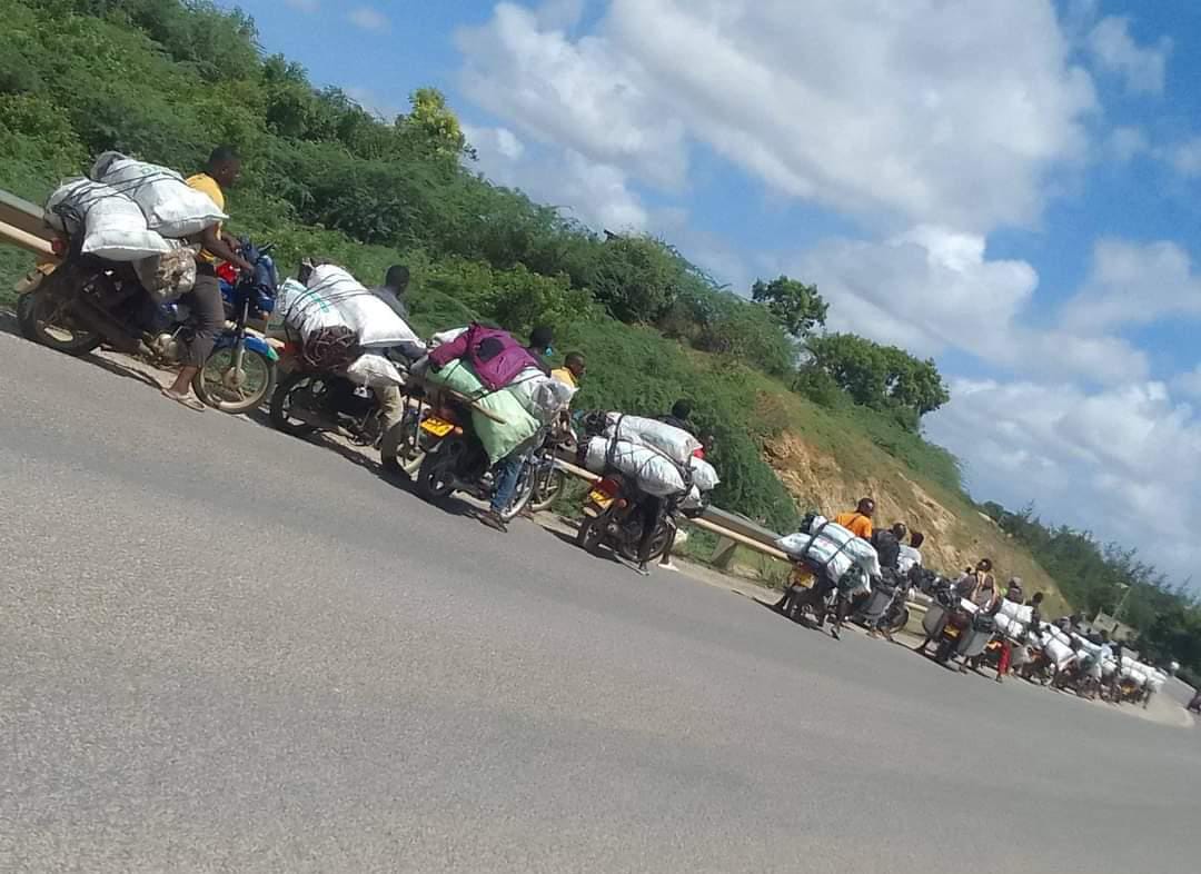 EricOgendi4's tweet photo. The famous charcoal caravans of Malindi. Hundreds of bodaboda guys ferry bags of charcoal that are sold as far as Mombasa & Nairobi. The indigenous forests will be decimated.@Israel_Adam_ as we spread the #jazamiti gospel, alternative sources of fuel will help. #Coup,#Blocked https://t.co/u2QzbVYvUr