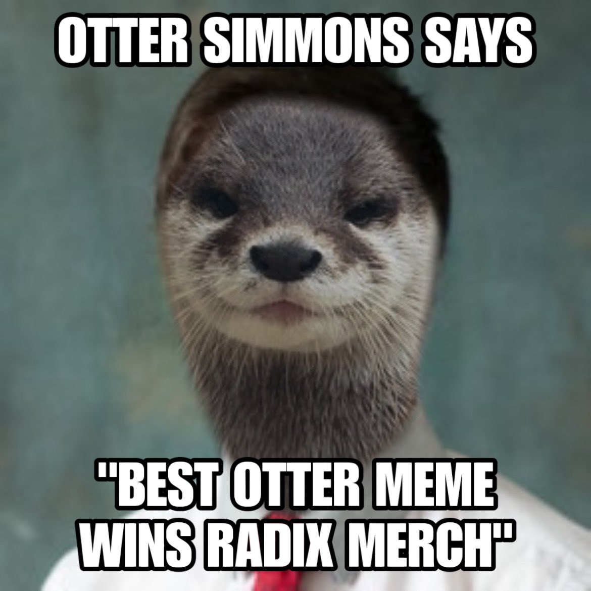 daxter8899's tweet photo. Who has the best otter meme for mister Otter Simmons? You can win some cool Radix merch!
#radixmeme #radix $xrd #radquest https://t.co/Fo8u9yBLoe