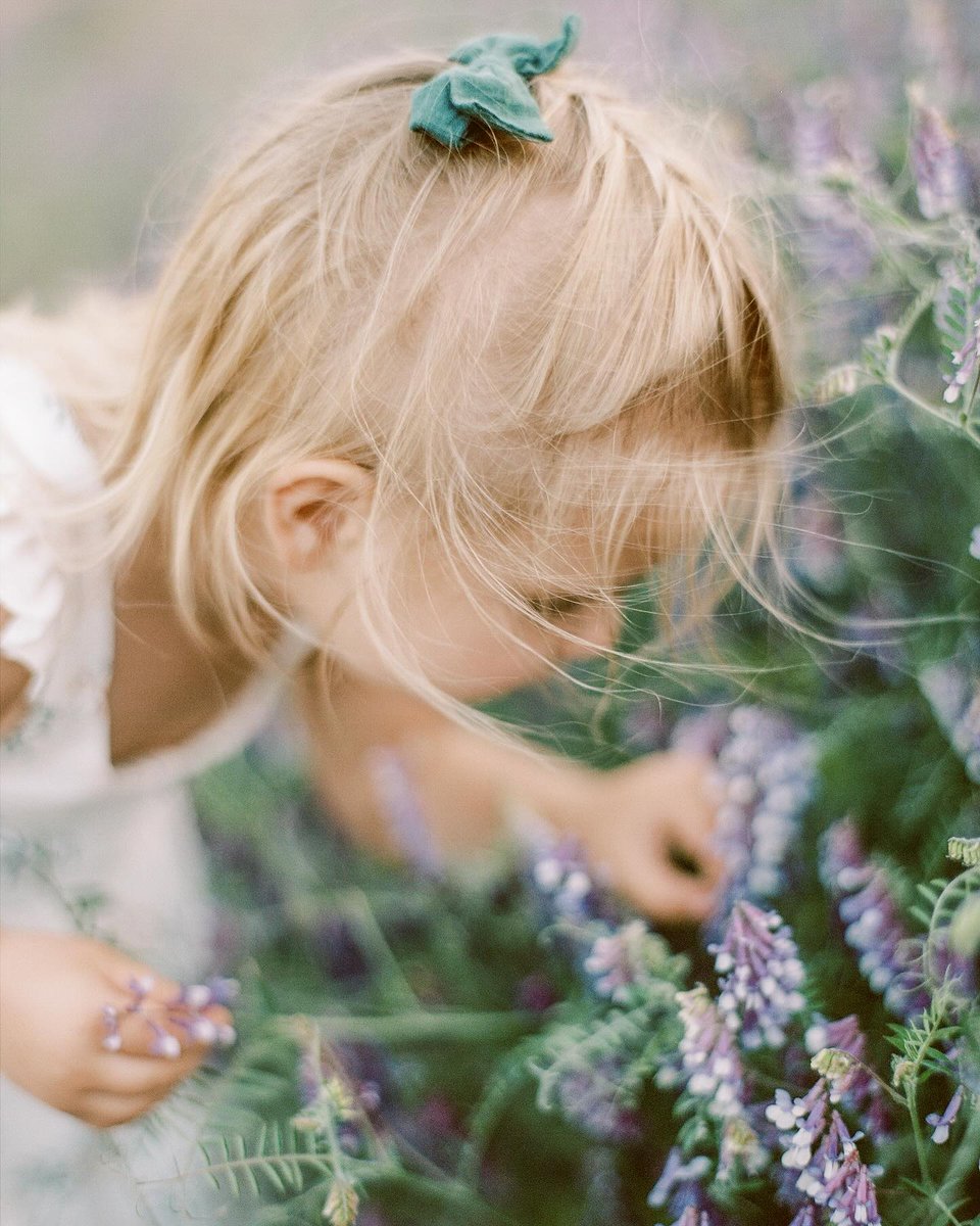 Chasing sunshine and wildflowers 🌻🌸✨️  ⁠
⁠
📷 <a href="/kelliseeley/">Kelli</a> ⁠
⁠
⁠
#richardphotolab #photolab #film #filmphotography #35mm #35mmphotography #120film #analog #analogphotography #photooftheday #beauty #love