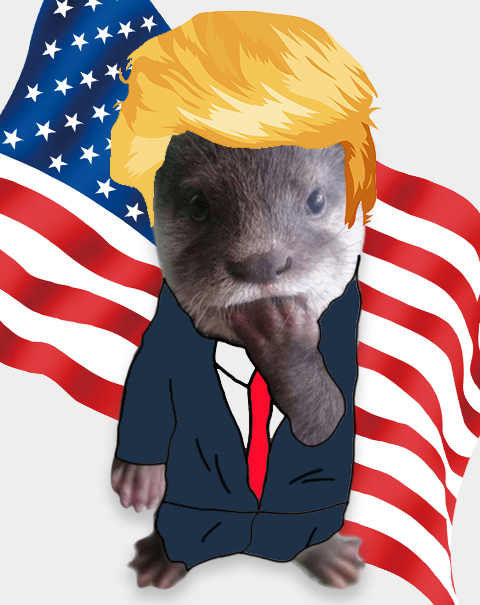 chitan_otter's tweet image. Make Meme Great Again $Chitan #Meme #Solana #Trump