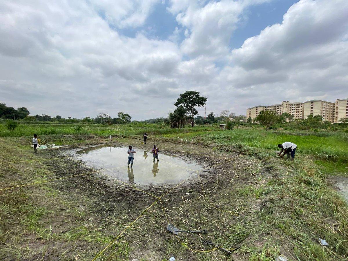 Fisheries & Watershed Management, KNUST (@fisheries_knust) on Twitter photo Pond preparation by students of the Department of Fisheries and Watershed Management, <a href="/KNUSTGH/">Kwame Nkrumah University of Science and Technology</a>.
<a href="/Renarsa_Knust/">RENARSA KNUST</a> <a href="/awrmsa_knust/">AWRMSA_Knust</a> #Aquaculture Pond preparation by students of the Department of Fisheries and Watershed Management, <a href="/KNUSTGH/">Kwame Nkrumah University of Science and Technology</a>.
<a href="/Renarsa_Knust/">RENARSA KNUST</a> <a href="/awrmsa_knust/">AWRMSA_Knust</a> #Aquaculture