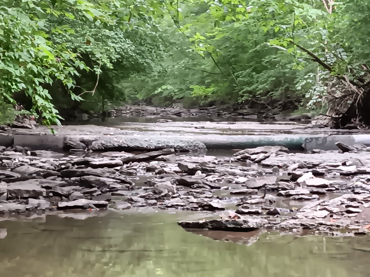 Wizardlythomasx's tweet image. Cool little creek behind my house