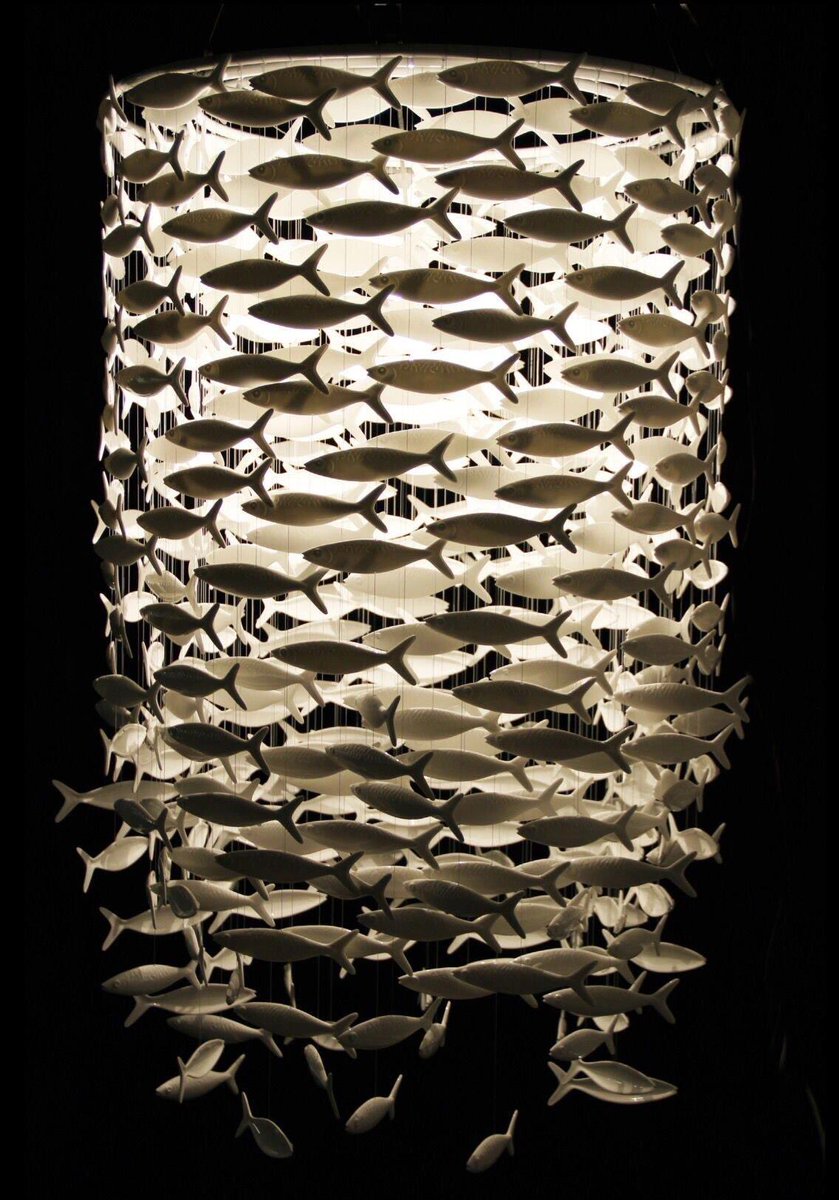 cuteee_all's tweet photo. 🐟🐟🐟 https://t.co/LAlgrrBTAZ
