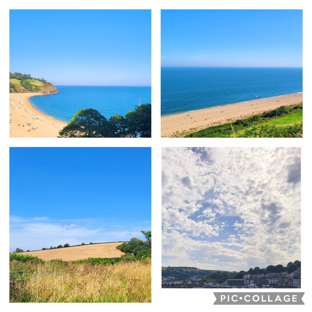 thingwallprima1's tweet photo. 💙💛#rainbowsofnature2024 A superb competition entry from Mrs Smith, all the way from sunny Devon! If you would like to take part in this photography competition then just include your nature photo(s) with the #rainbowsofnature2024 hashtag and add @thingwallprima1 💛💙 https://t.co/bGzz8n4Ioz