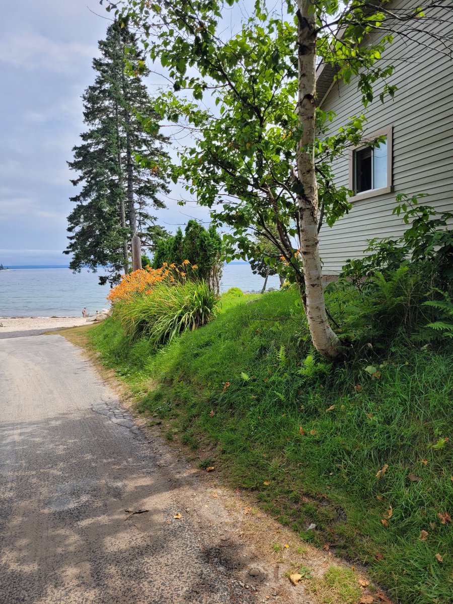 monicasweet2006's tweet image. Beautiful lazy day at the beach
#Hubbard&apos;sBeach 
#NovaScotia 
I hope you&apos;re all having a great day