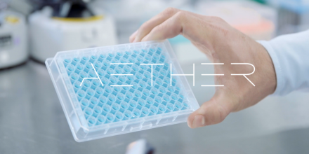 AylettGrac16995's tweet photo. 🌿 Aether’s enzymes are like tiny Swiss Army knives—versatile, efficient, and essential. ✨ Nicole Junkermann🗝️🔬 #BioTools https://t.co/1TojeGktpI