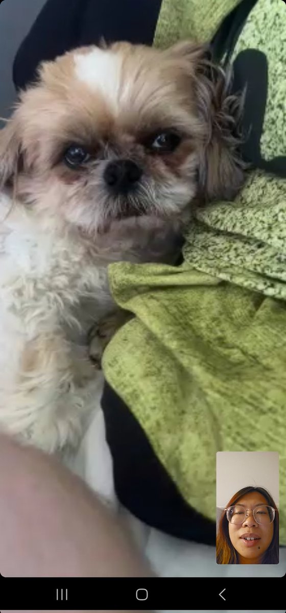 Alliance kelly tweet media