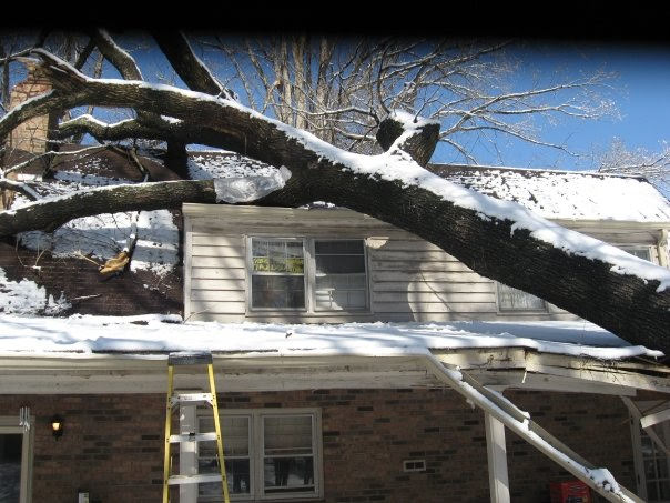 goneers's tweet photo. That time a tree fell on my house #randomshitposting https://t.co/50AjuLk44K