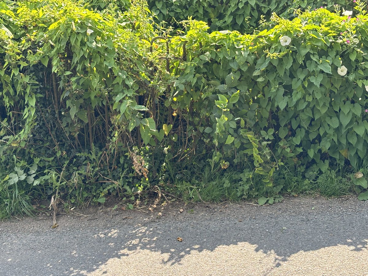 Two Dogs & an Awning (@2dogsawning) on Twitter photo My 443rd <a href="/ordnancesurvey/">Ordnance Survey</a> #trigpillarbagged today with a Fundamental Bench Mark at Suckley (Grid Ref: SO721545) #trigbagging #charitywalk #trigbagger #bootsonmiles #getoutside My 443rd <a href="/ordnancesurvey/">Ordnance Survey</a> #trigpillarbagged today with a Fundamental Bench Mark at Suckley (Grid Ref: SO721545) #trigbagging #charitywalk #trigbagger #bootsonmiles #getoutside