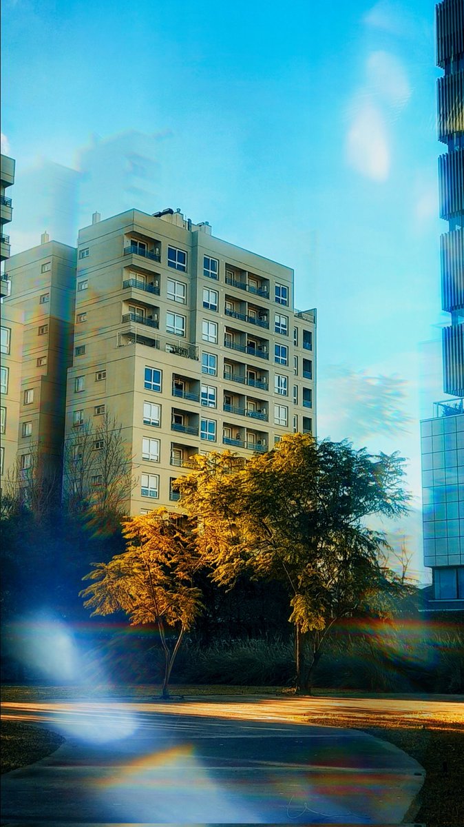 StaY FiRm
🏙 🌳 🏙