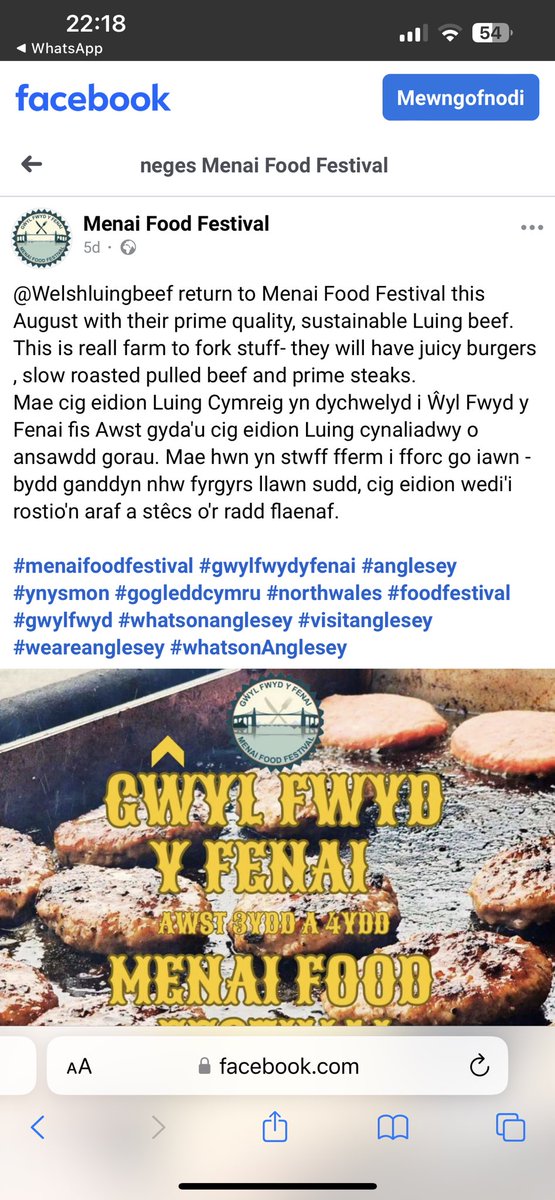 Dewch i’r Ŵyl wŷch hon 3&amp;4/8/24 Come  &amp; join us at this wonderful Food Festival #gwylfwydyfenai #menaifoodfestival 🥩🍔