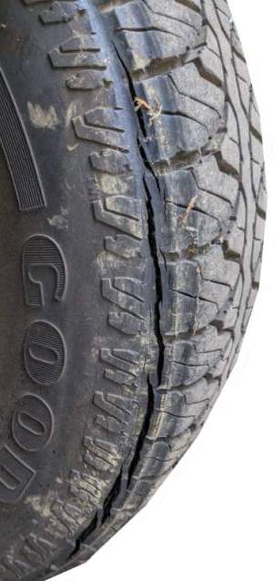 チューブが入ってたから良かったけどこれはひどい(時々見てたけど気づかなかった)こんな状態になってれば気付くはずなので長期放置状態になってからかなあ? 