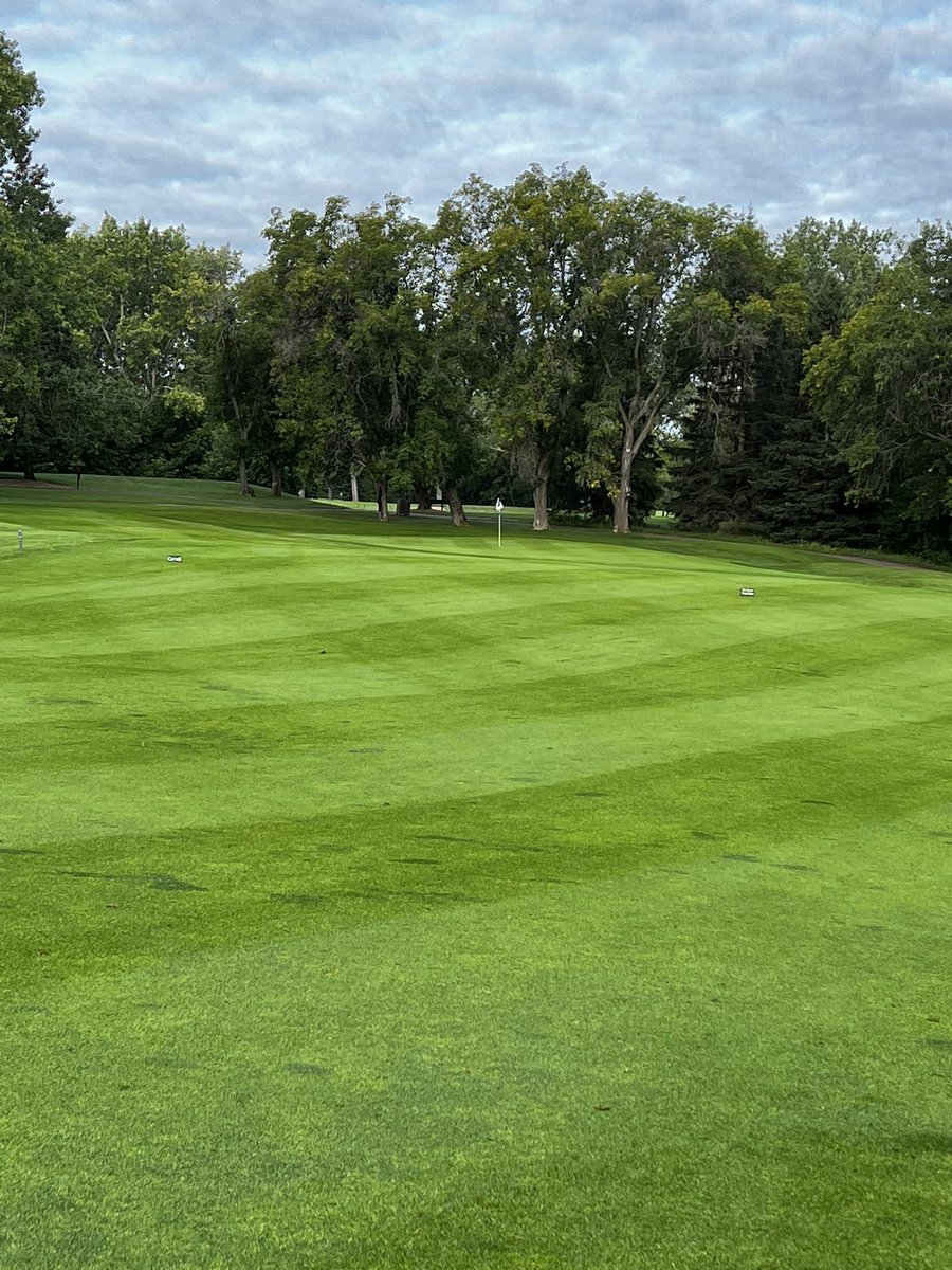 SaskTurf tweet media