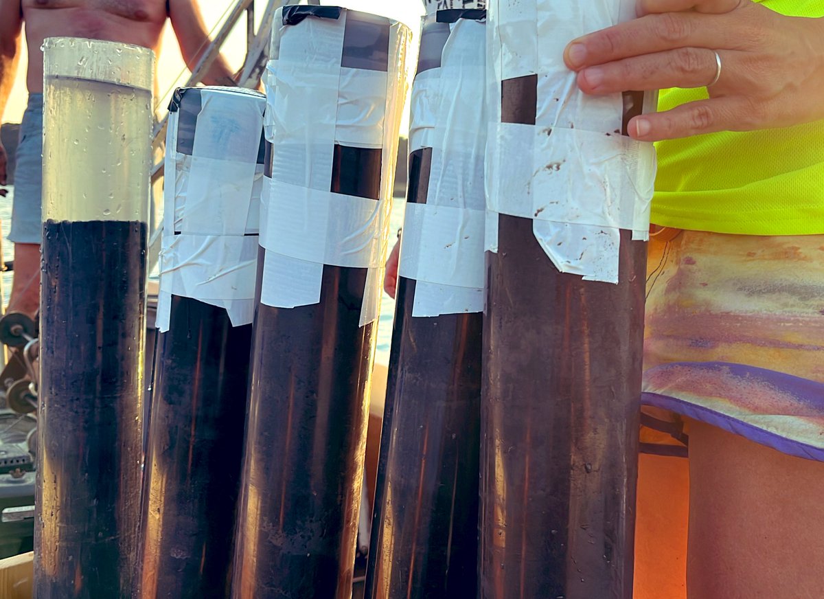 lauparducci's tweet image. New cores from volcanic lakes Nemi and Martignano to assess ancient #envDNA #sedDNA #biodiversity - project #PRIN2022 #volcanic #lakes