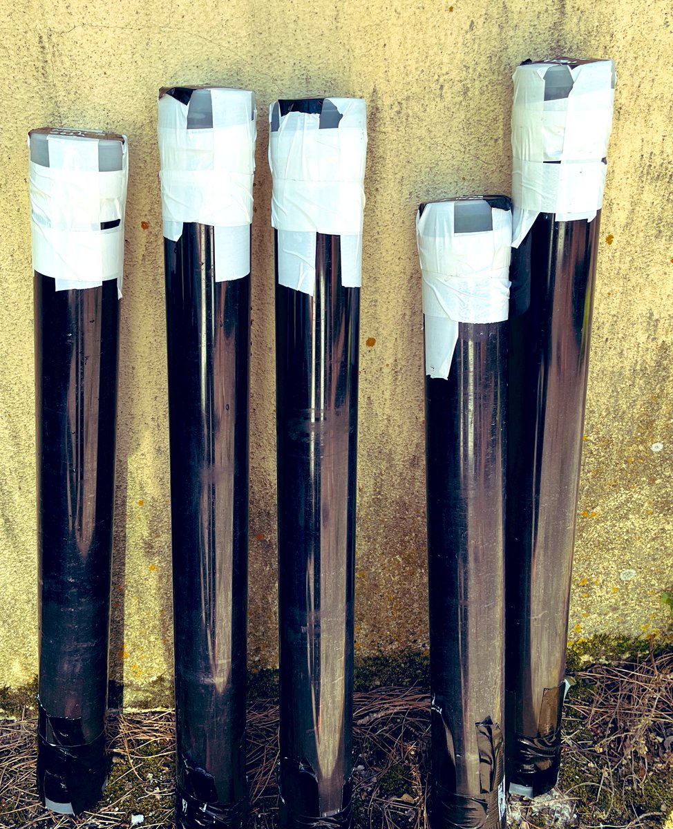 lauparducci's tweet image. New cores from volcanic lakes Nemi and Martignano to assess ancient #envDNA #sedDNA #biodiversity - project #PRIN2022 #volcanic #lakes