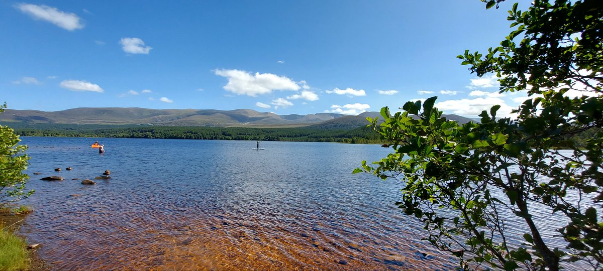 Michael50392771's tweet photo. Loch Morlich views https://t.co/yaPI0kRFfL