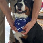 Photo by FirstMate Pet Foods (@FirstMatePet)