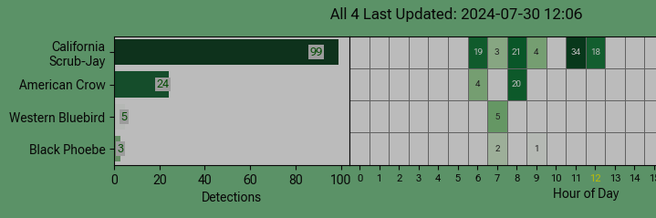 It's getting real up in the front yard.