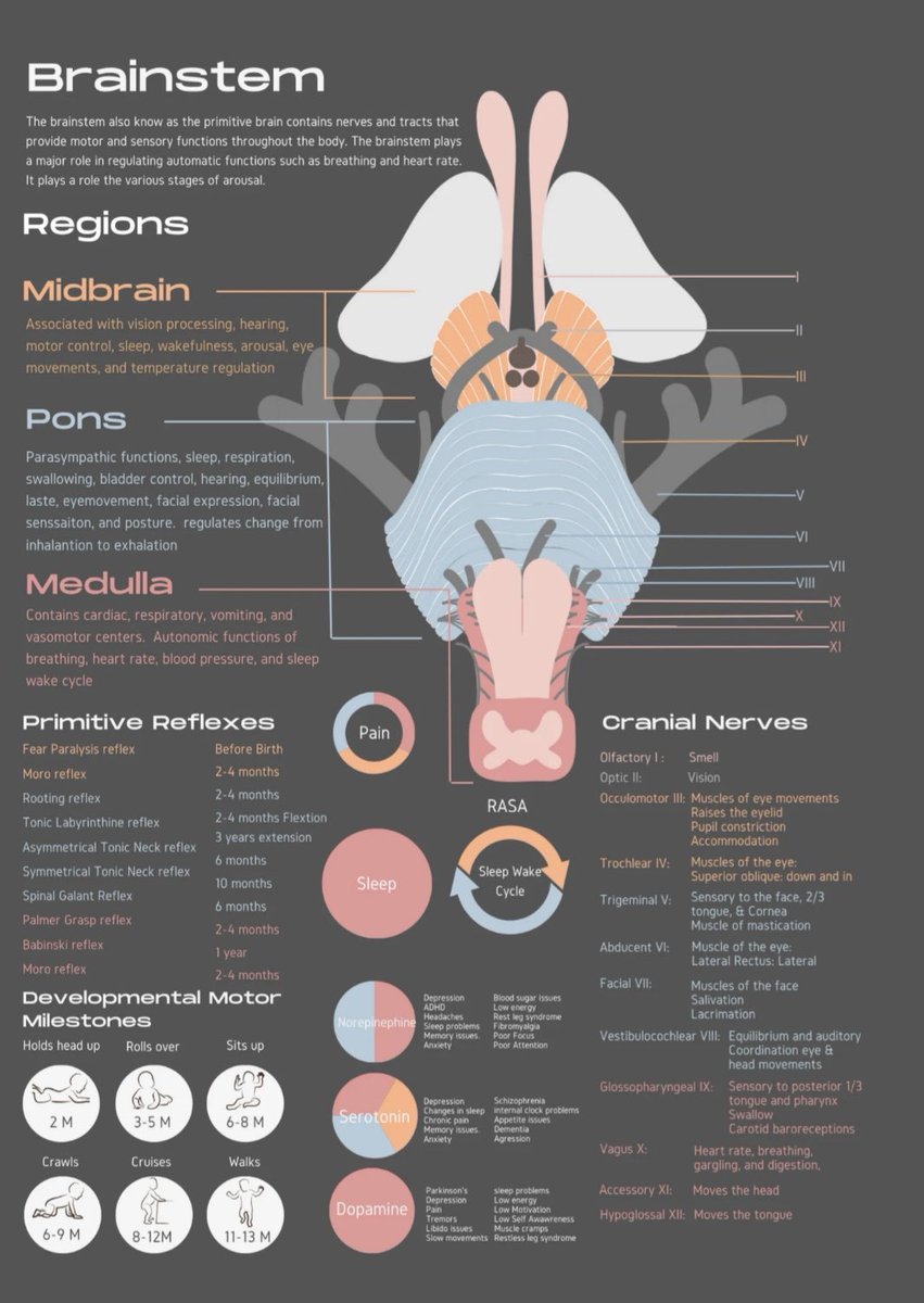 Great Neuro one pager