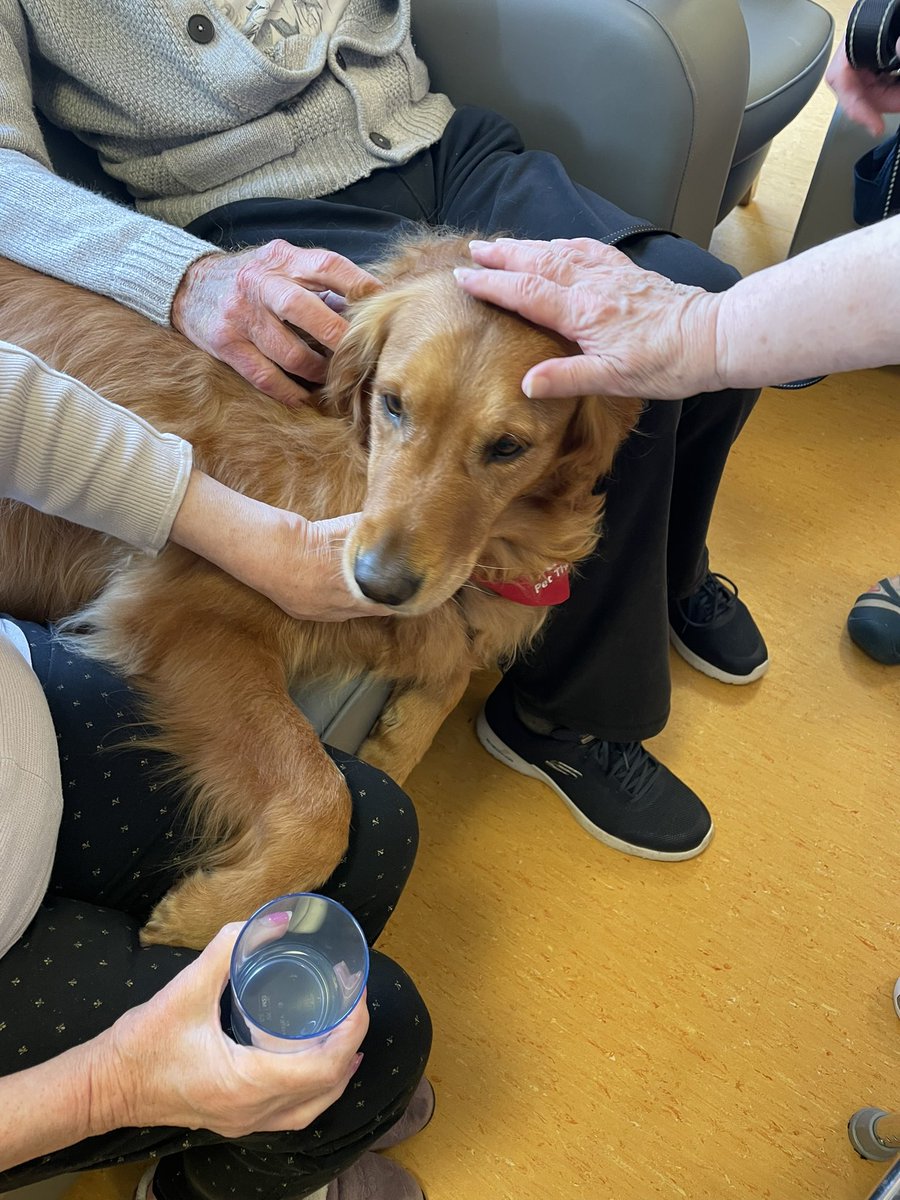 LifeAtStNon's tweet image. Today we had a visit from @CariadPet therapy in the morning 🦮❤️ and headed out to Newgale for an ice cream and to enjoy the sunshine in the afternoon  ☀️🍦