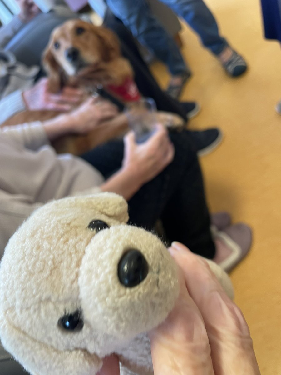 LifeAtStNon's tweet image. Today we had a visit from @CariadPet therapy in the morning 🦮❤️ and headed out to Newgale for an ice cream and to enjoy the sunshine in the afternoon  ☀️🍦