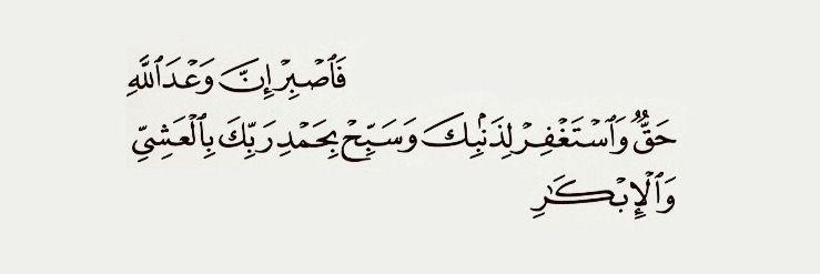 Dohaabdelhady0's tweet photo. 💗 https://t.co/J1o6cRCCBK
