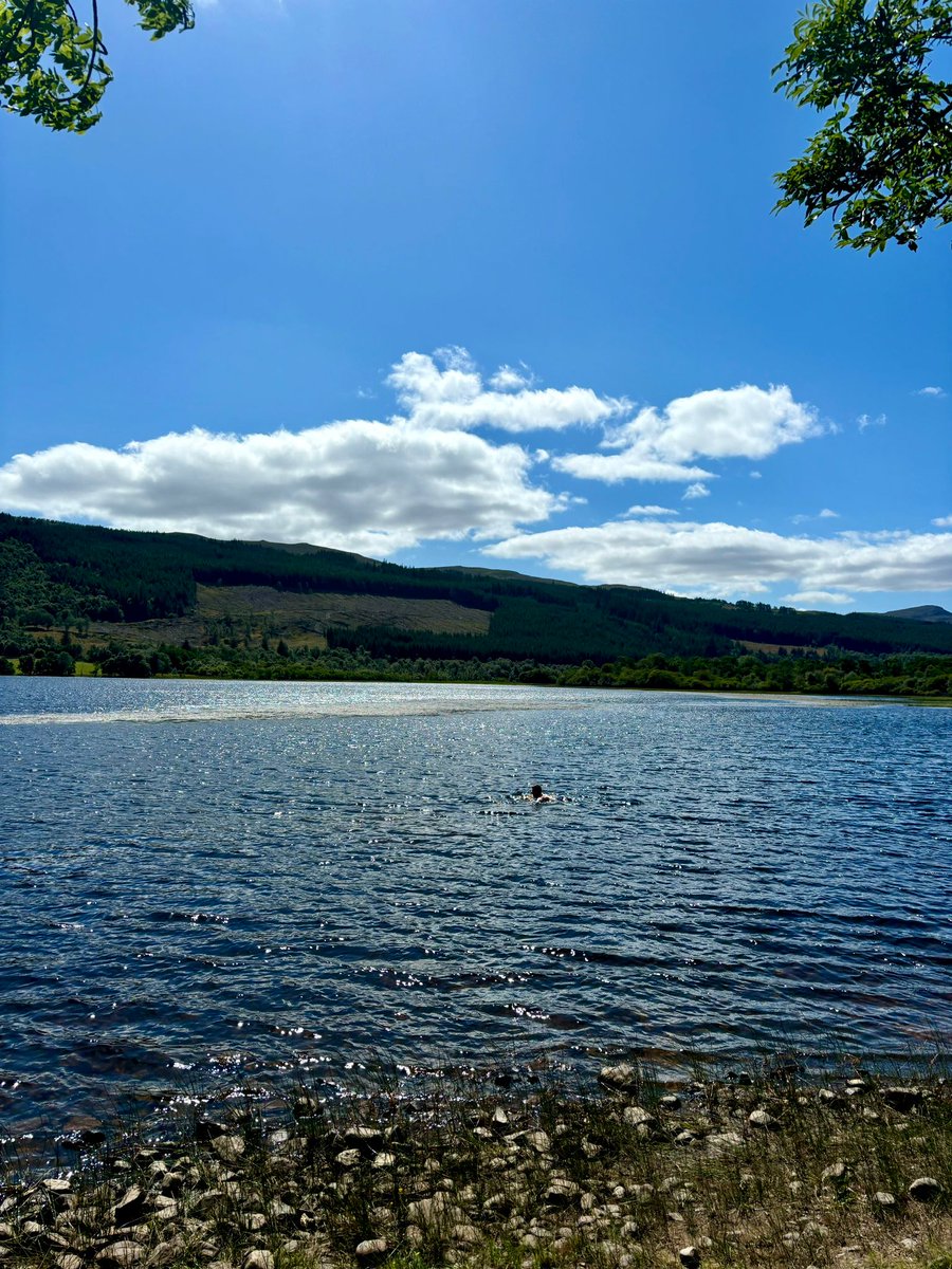 Another day, another swim