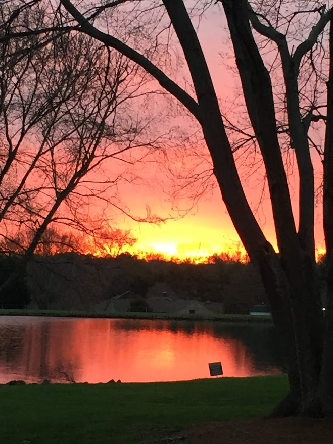 goneers's tweet photo. A pretty sunset #randomshitposting https://t.co/Ts9r2DxzqR