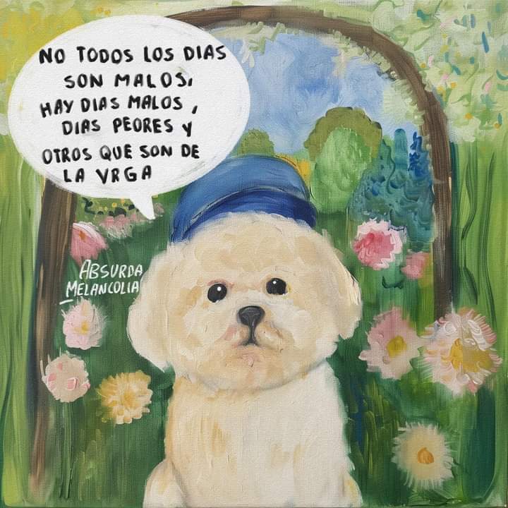 Absurda Melancolía (@absurdamela) on Twitter photo 