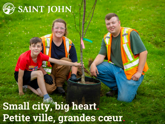 cityofsaintjohn's tweet photo. ππΏ Thanks to @TreeCanada and CN, our "Blossom Buffet" project is taking root! We're planting 43 fruit trees in Queen Square West, making our city greener and sweeter! π³π #TreeCanada
https://t.co/Mlvc8j4Uih
@CNRailway @TreeCanada https://t.co/uQYcTZ9PNr