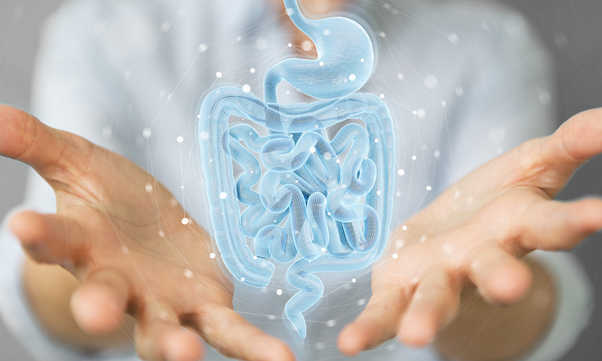 Did you miss our recent public lecture on restoring the gut microbiome for a healthy life? Don’t worry—the video is now available online. Join Profs Justin O’Sullivan, Wayne Cutfield, and Dr Theo Portlock as they unveil results from world-first trials. bit.ly/3WtwcOD