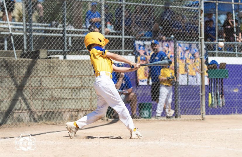 tbone_axp_010's tweet photo. Kid has a beautiful swing at 8 years oldβ¦.#leftymagic #prouddad https://t.co/k55vI9xJZ8