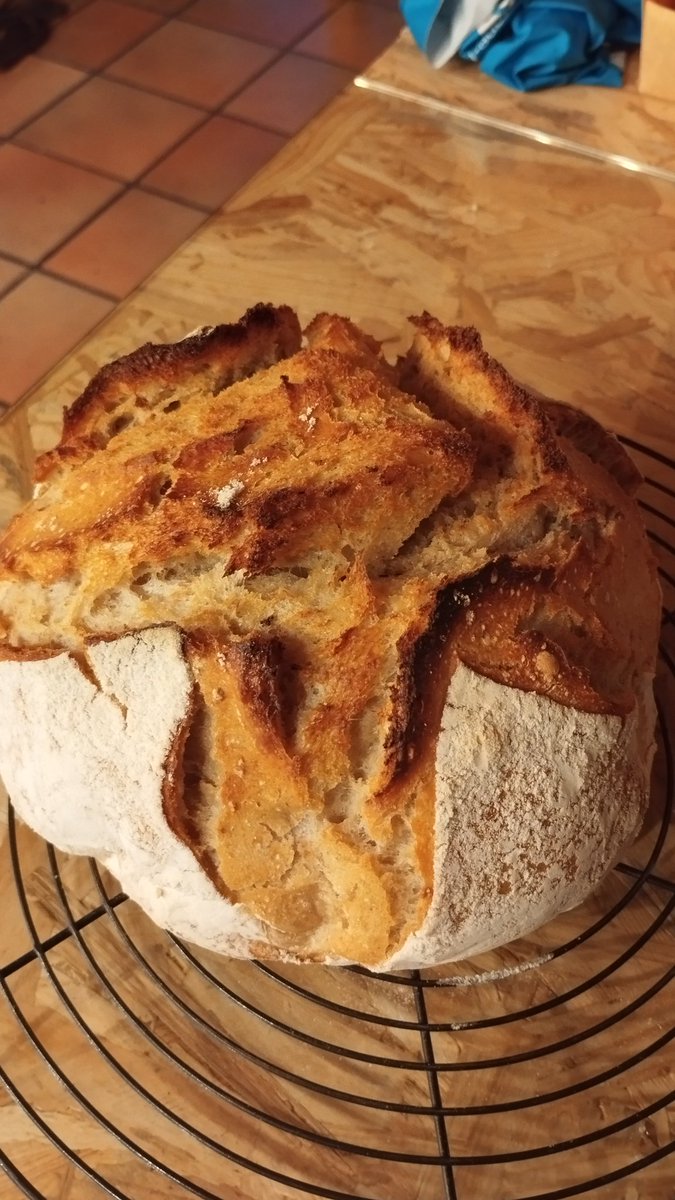 Slov4s's tweet photo. 1 an et demi sans faire de pain.
Relance d'un levain il y a 1 semaine.
1er pain dans la nouvelle maison.
Merci @Owiowiiii pour les fiches sur le site internet pour m'avoir remis dans le bain. https://t.co/nanjPb69Yk