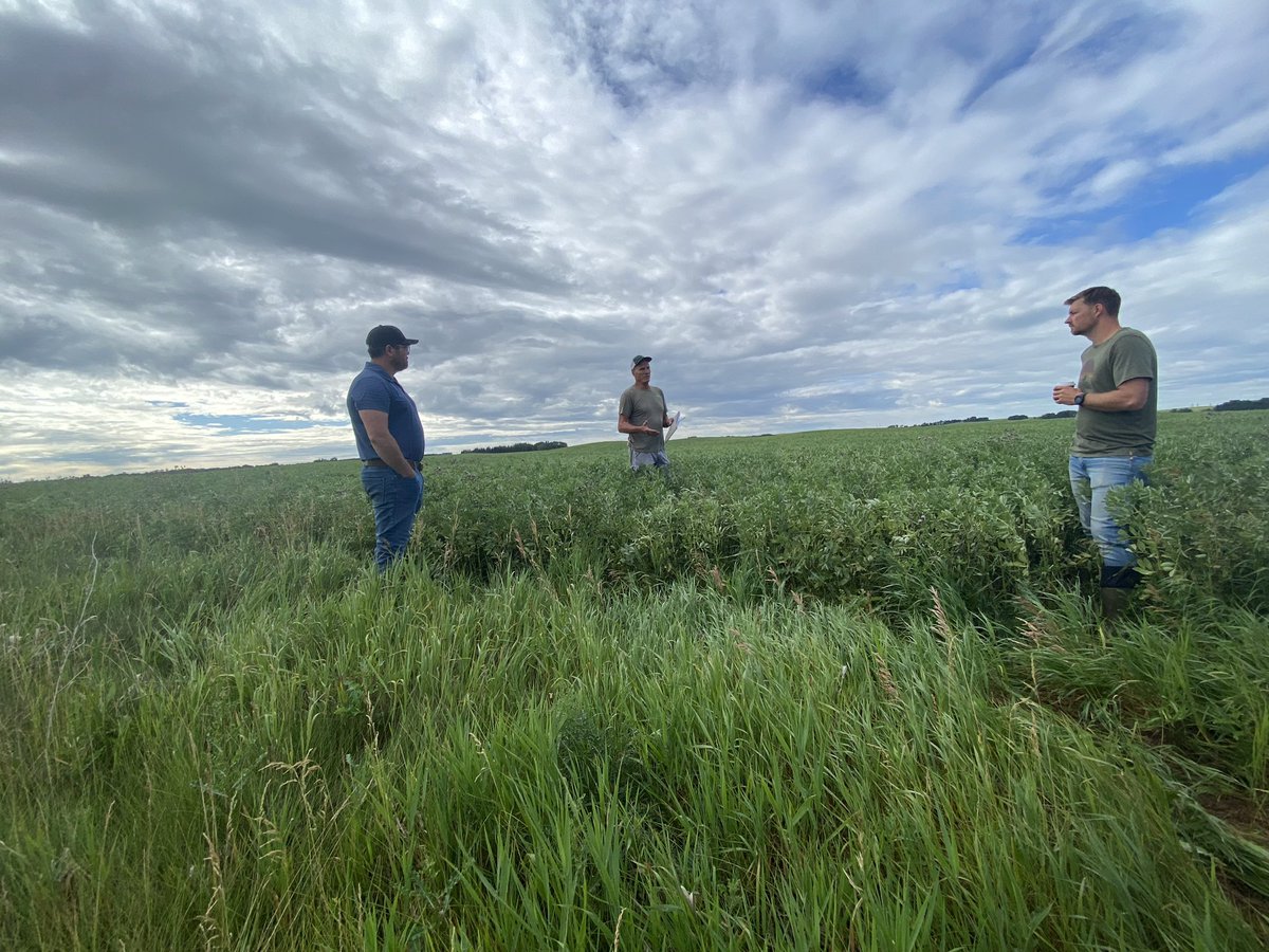 Jenn Walker (@apgresearch) on Twitter photo A FABAulous tailgate chat this morning with <a href="/pulsechickAB/">Robyne Bowness Davidson</a> <a href="/Dane_LSF/">Dane Lindholm</a> farms this morning. #SustainableAgriculture #wherehaveyoubean <a href="/AlbertaPulse/">AB Pulse Growers</a> A FABAulous tailgate chat this morning with <a href="/pulsechickAB/">Robyne Bowness Davidson</a> <a href="/Dane_LSF/">Dane Lindholm</a> farms this morning. #SustainableAgriculture #wherehaveyoubean <a href="/AlbertaPulse/">AB Pulse Growers</a>