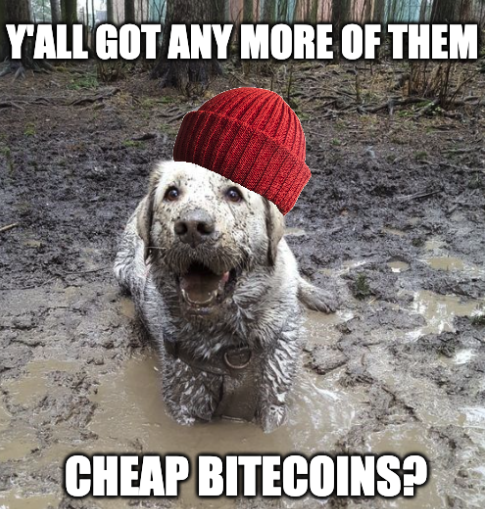What every dirty dog degen in the crypto mud puddle wants to know