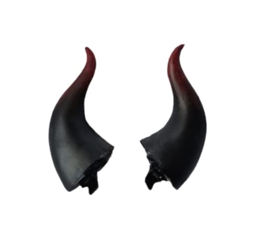 I just received Dark Gothic Devil Horns Ghost Hairpin Edge Hair clips Skull Butterfly Bat Ear Costume