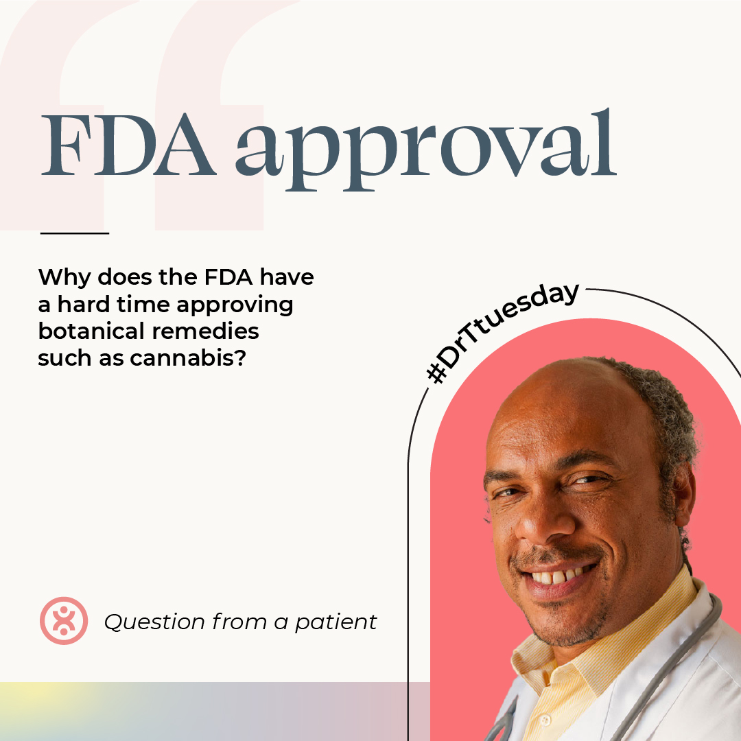 MyTEPI's tweet photo. For #DrTtuesday @drtalleyrand helps us understand why botanical remedies such as cannabis have a hard time gaining FDA approval.

Have a question for Dr. T? DM us or comment below https://t.co/Tv0Z9OZrLj