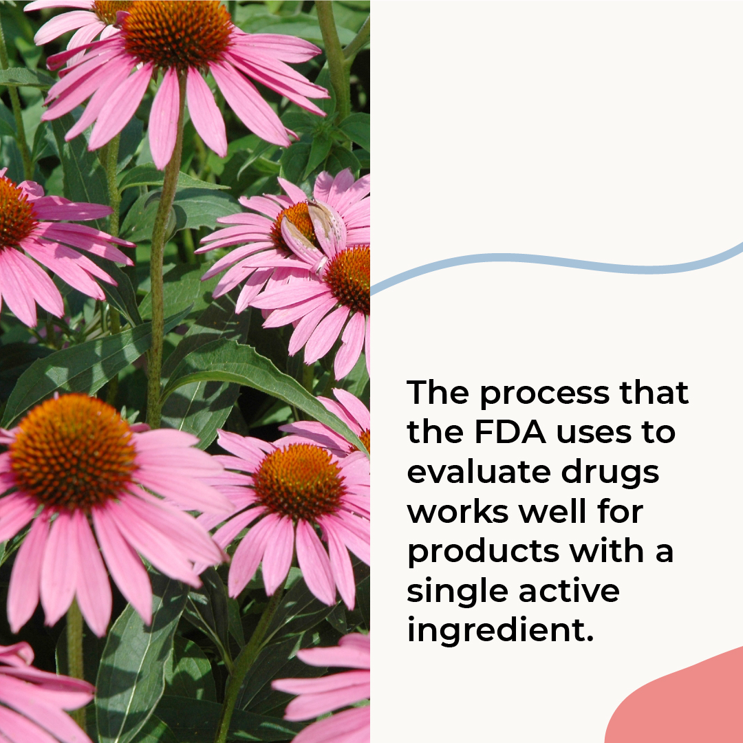 MyTEPI's tweet photo. For #DrTtuesday @drtalleyrand helps us understand why botanical remedies such as cannabis have a hard time gaining FDA approval.

Have a question for Dr. T? DM us or comment below https://t.co/Tv0Z9OZrLj