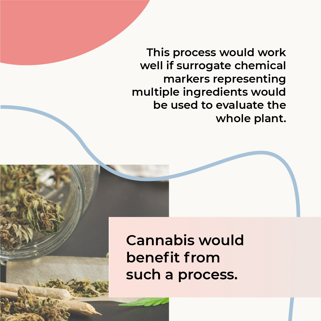 MyTEPI's tweet photo. For #DrTtuesday @drtalleyrand helps us understand why botanical remedies such as cannabis have a hard time gaining FDA approval.

Have a question for Dr. T? DM us or comment below https://t.co/Tv0Z9OZrLj