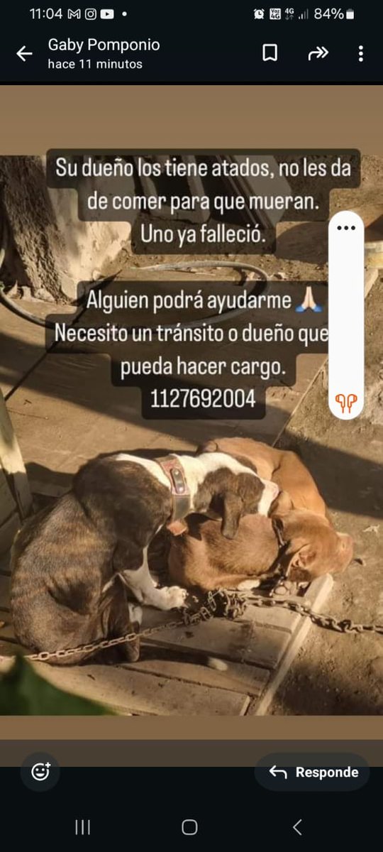 patripeyrou's tweet photo. Rt
Difundimos https://t.co/GHAuDTKSrM