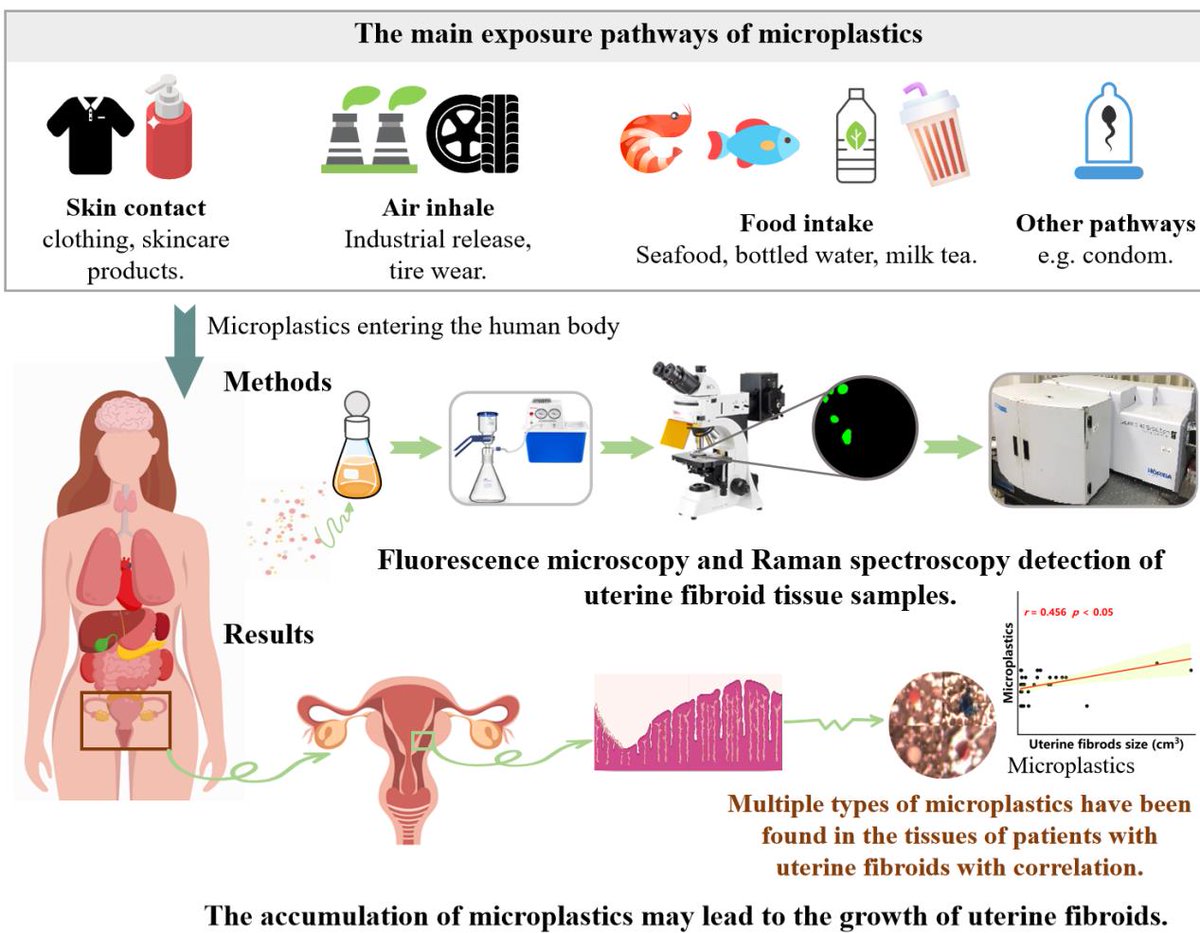 First findings of #microplastics (MPs) in human uterine fibroids (UF). MPs were significantly higher in UF tissues in diseased patients. #Raman spectroscopy of 48 patients linked higher levels to takeout meals and bottled water consumption.
#WomensHealth
sciencedirect.com/science/articl…