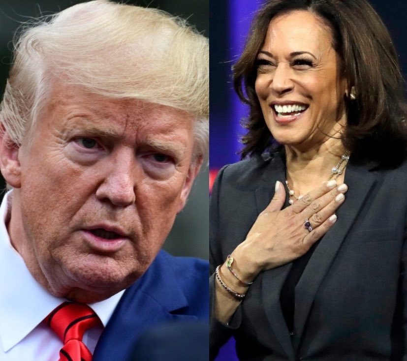 Occupy Democrats tweet media