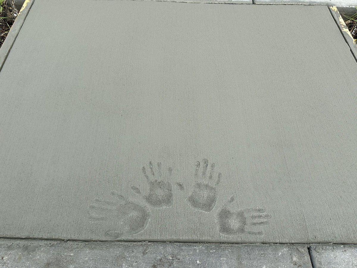 Anastasia Graflund, M. Ed. tweet media