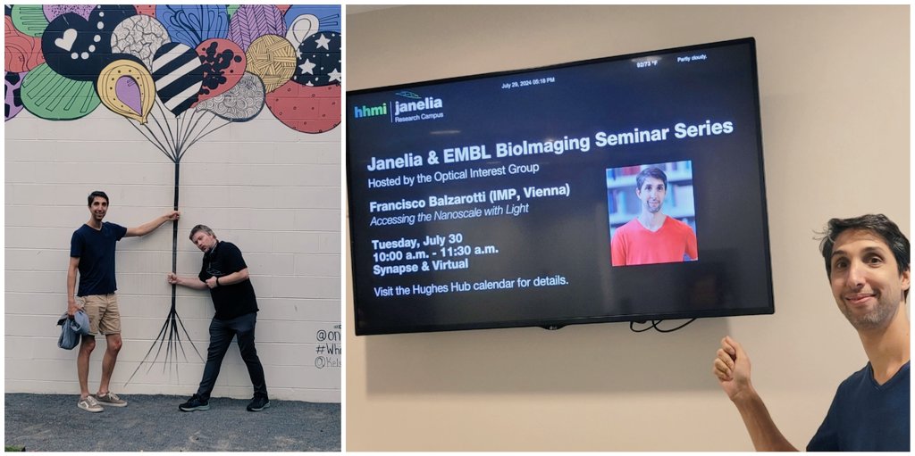 Brian English🔬 (@sciencethecat) on Twitter photo Thank you for visiting <a href="/HHMIJanelia/">HHMI | Janelia</a>, <a href="/BalzarottiFran/">Francisco Balzarotti</a>! You will be able to watch Francisco's fantastic EMBL & Janelia bioimaging seminar on our YouTube channel soon: youtube.com/playlist?list=…
<a href="/EMBLHeidelberg/">EMBL Heidelberg</a> <a href="/markkitti/">Mark Kittisopikul</a> <a href="/kaydanych/">Nikita Kaydanov</a> <a href="/Prevedel_Lab/">Prevedel Lab</a> <a href="/IMPvienna/">IMP</a> Thank you for visiting <a href="/HHMIJanelia/">HHMI | Janelia</a>, <a href="/BalzarottiFran/">Francisco Balzarotti</a>! You will be able to watch Francisco's fantastic EMBL & Janelia bioimaging seminar on our YouTube channel soon: youtube.com/playlist?list=…
<a href="/EMBLHeidelberg/">EMBL Heidelberg</a> <a href="/markkitti/">Mark Kittisopikul</a> <a href="/kaydanych/">Nikita Kaydanov</a> <a href="/Prevedel_Lab/">Prevedel Lab</a> <a href="/IMPvienna/">IMP</a>
