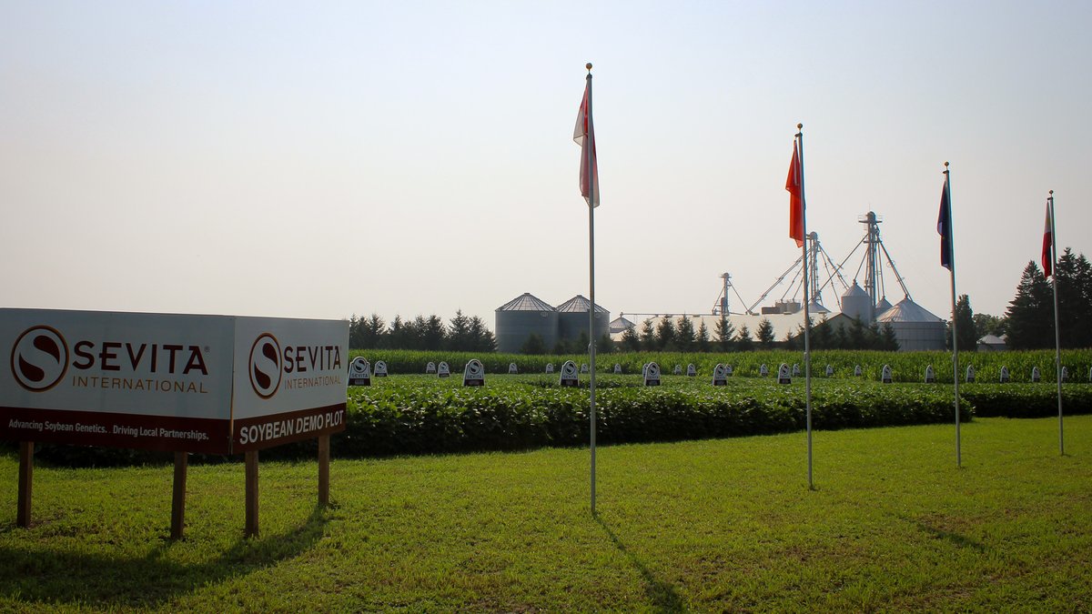 Sevita_Int's tweet image. Flags are flying in our plots near Woodstock and Inkerman. 🚩These flags represent a few of the countries our beans are exported to internationally to be made into food products!
Set up a tour with your local rep: sevita.com/our-team
#International #Plot24 #Woodstock…