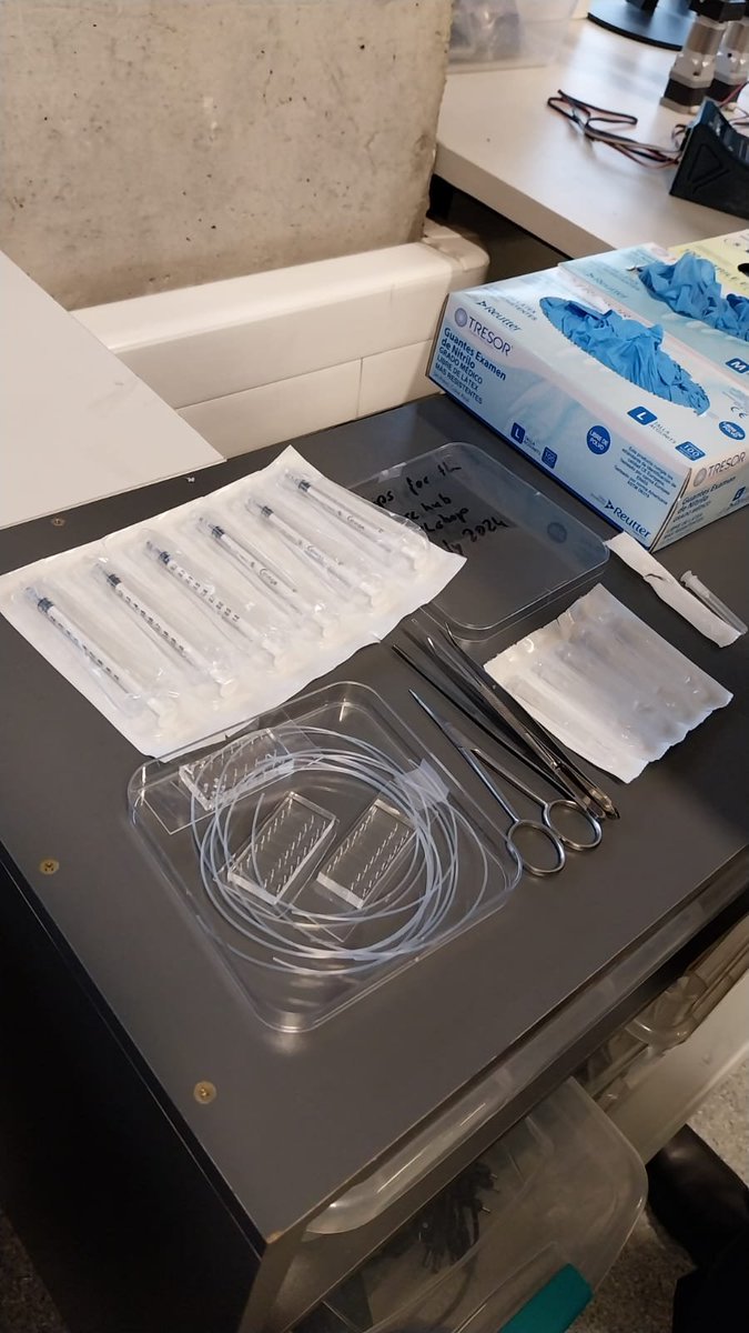 ScianLab tweet picture