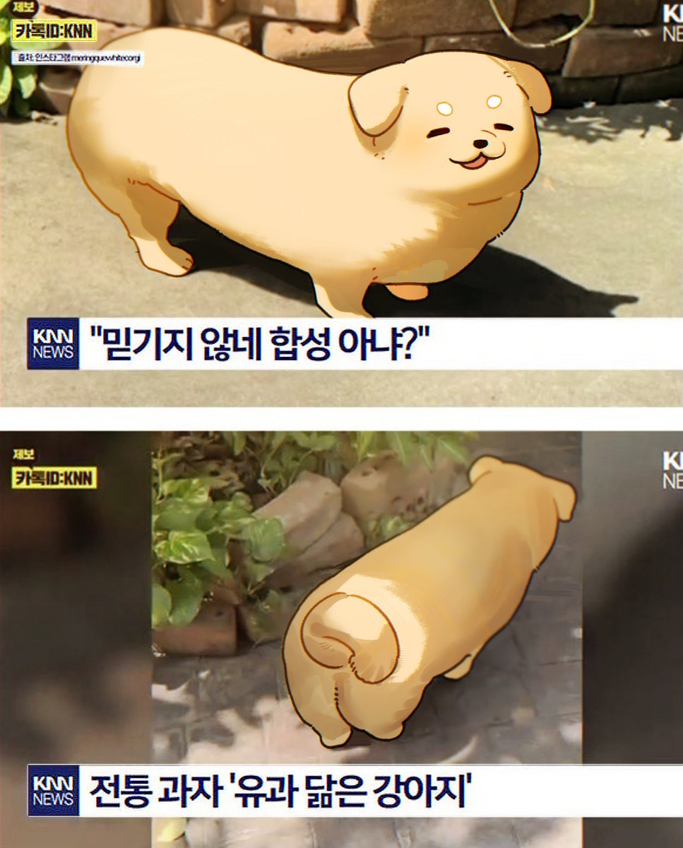 📦
덕개님으로 유행하던 짤