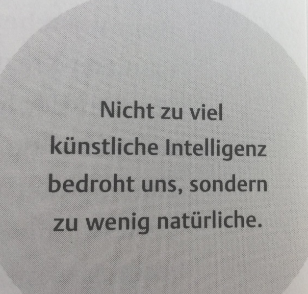 WOLF LOTTER🦉 tweet media