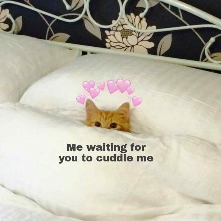 astralbaes's tweet photo. https://t.co/djEHlYsubY